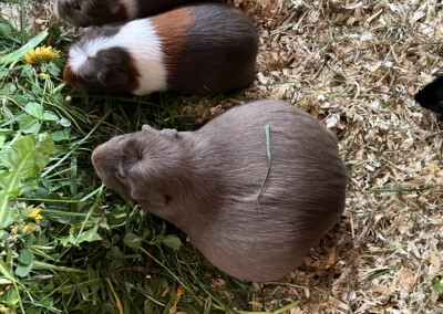 4 Tage vor der Geburt