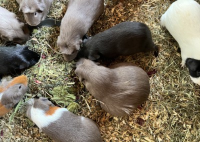 2 Tage vor der Geburt