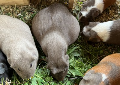 2 Tage vor der Geburt