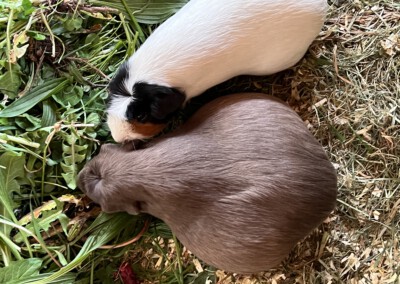 2 Tage vor der Geburt