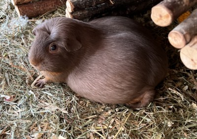 2 Tage vor der Geburt