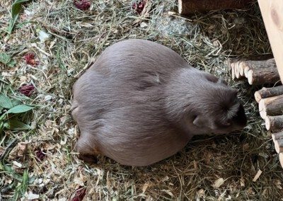 2 Tage vor der Geburt