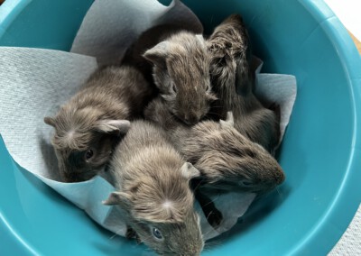 Etwa 3 Stunden nach der Geburt