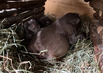 Etwa 3 Stunden nach der Geburt