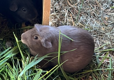 4 Tage vor der Geburt