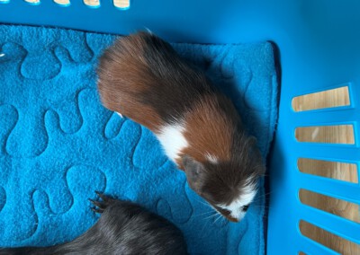 45. Lebenstag - Colorino