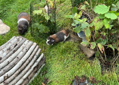 45. Lebenstag - Colorino