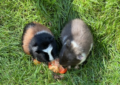 57. Lebenstag - Barley und Butters