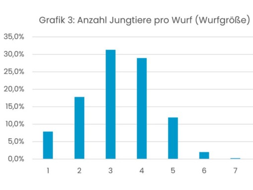 Wurf Statistik