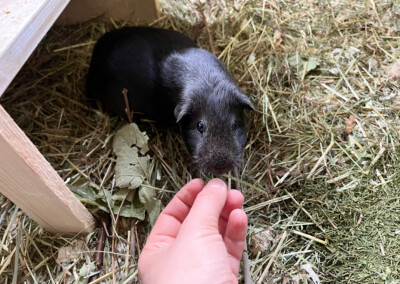 6 Tage vor der Geburt