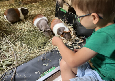 8 Tage vor der Geburt - Rana mitte