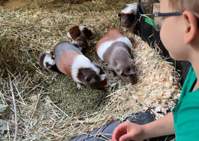 8 Tage vor der Geburt - Rana rechts, Quentchen mit Nachwuchs links