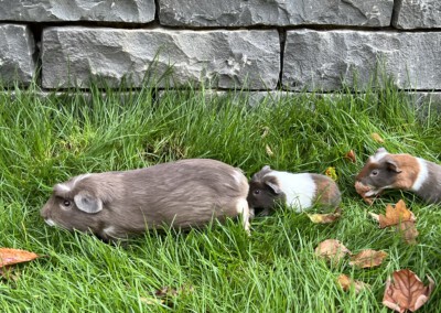 8. Lebenstag - Riva, Firella, Florentina