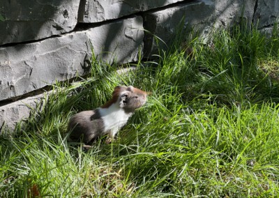 8. Lebenstag - Florentina