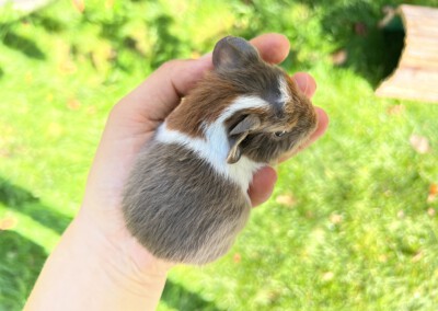 8. Lebenstag - Florentina