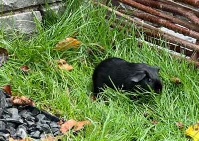 15. Lebenstag - Doli Bluebell