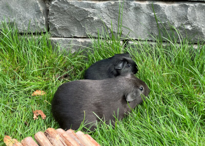 15. Lebenstag - Doli Bluebell und Mama Marble Bluebell