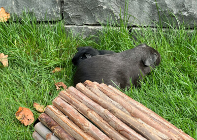 15. Lebenstag - Doli Bluebell und Mama Marble Bluebell