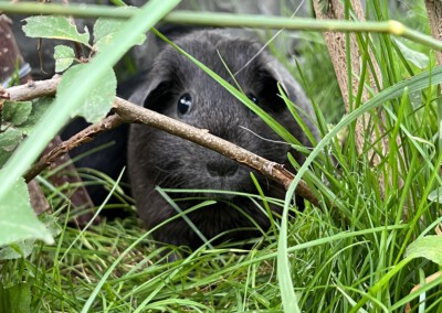 15. Lebenstag - Mama Marble Bluebell 