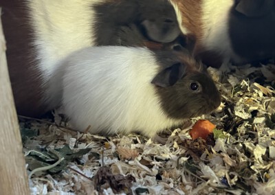 32. Lebenstag - Elise