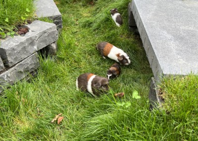 35. Lebenstag -Eron ganz oben im Bild