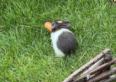 37. Lebenstag - Eron