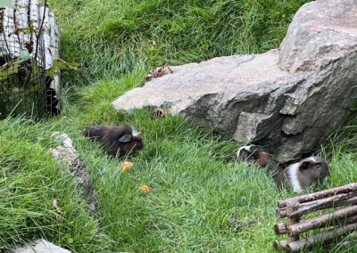 37. Lebenstag - Einstein ganz links im Bild