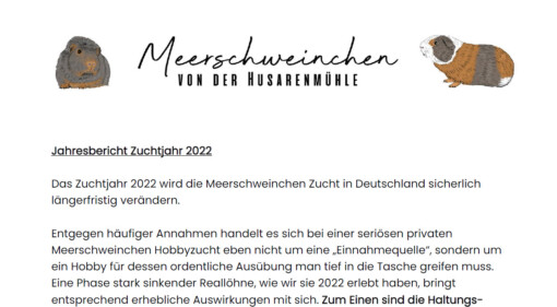 Jahresbericht 2022