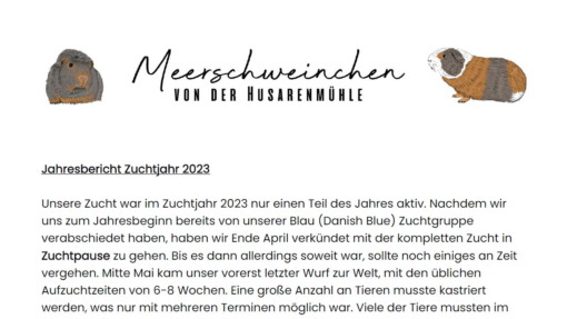 Jahresbericht 2023