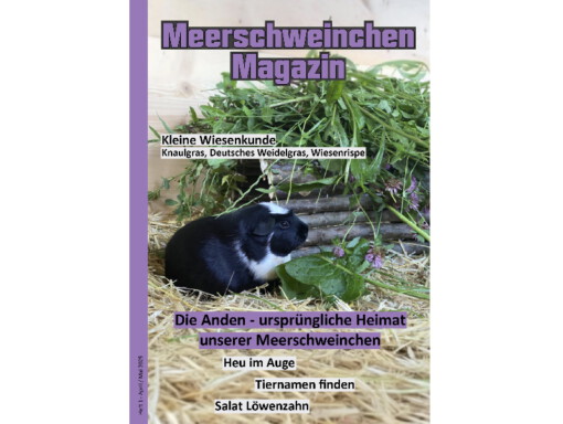 Meerschweinchen Magazin