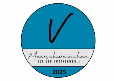 Wurf V – 2025