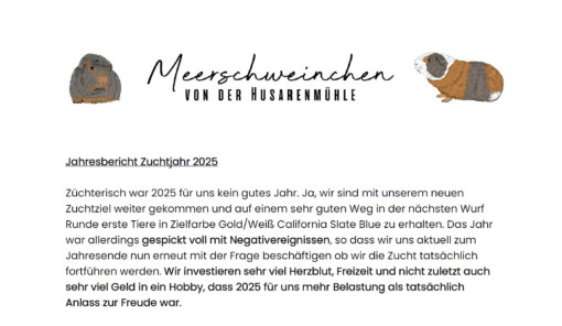 Jahresbericht 2025