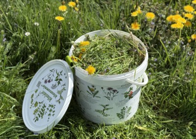 Endlich wieder Wiese