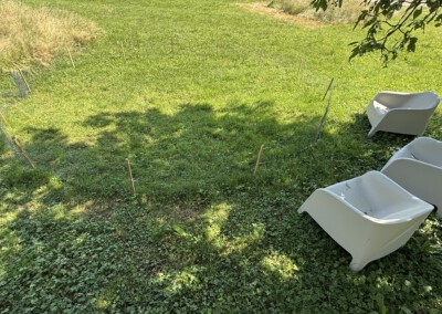Wiesenauslauf
